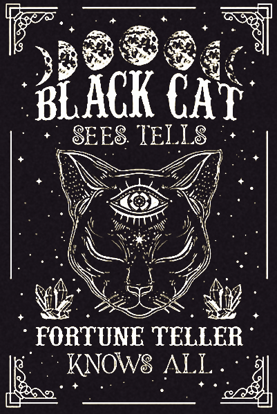 Black Cat Fortune Teller Escape Room Brighton